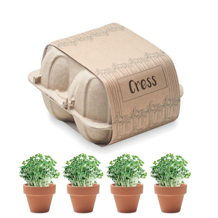 GiftRetail MO6886 - CRESS Kweekset in eierdoos